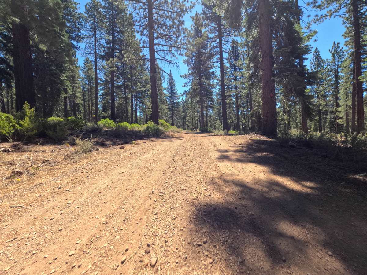 Bald Mountain Road photo 3