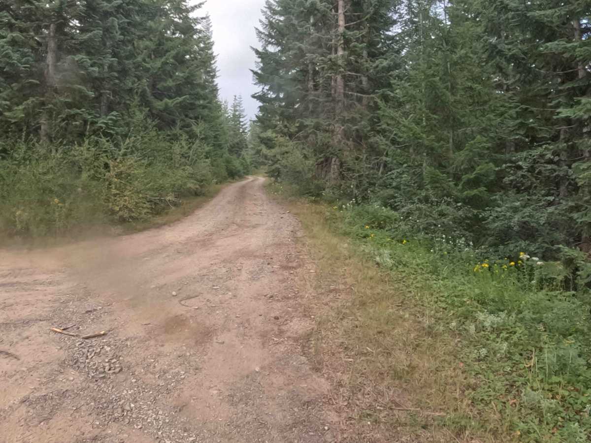 Coffin Mountain Road - FS 1168430 photo 4