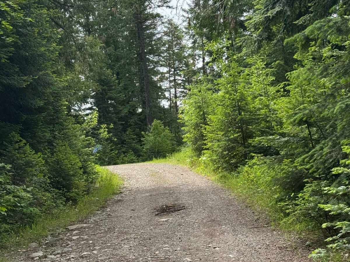 Highline Road - FS 2212 photo 6