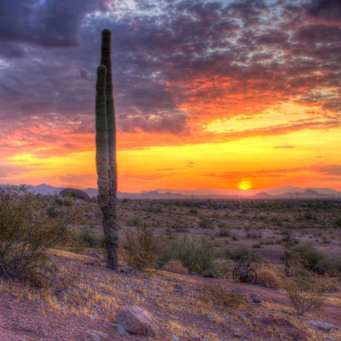 Near Double Butte Loop