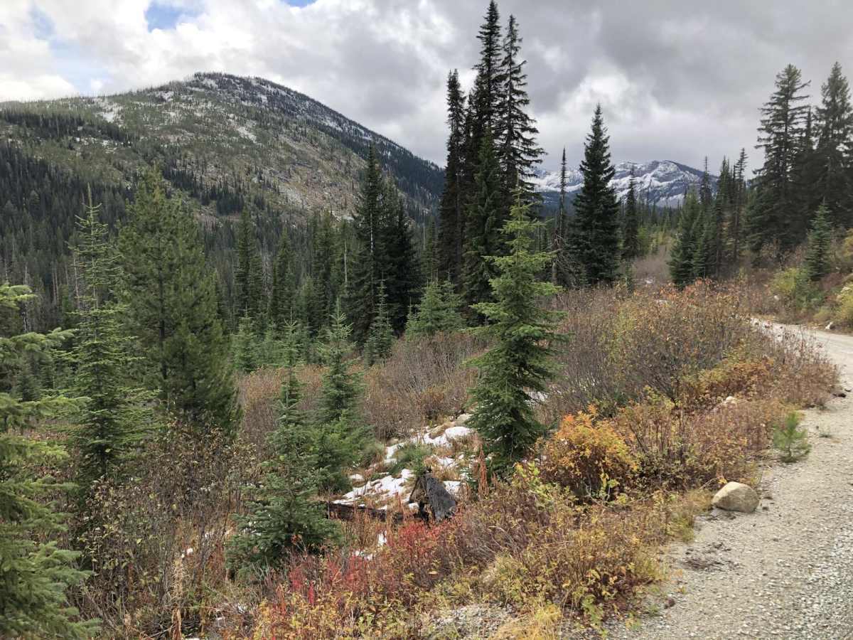 Lost Horse Creek Trail photo 6