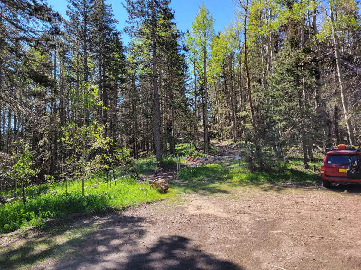 Glorieta Baldy photo 5