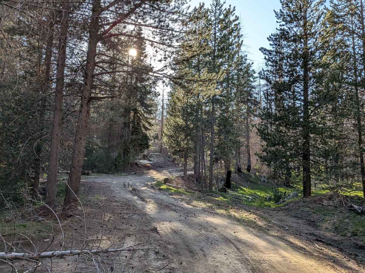 Parker Forks - FS 22S18 photo 4