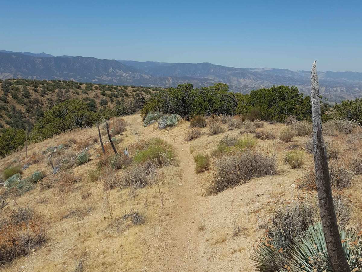 Trail 39 photo 5