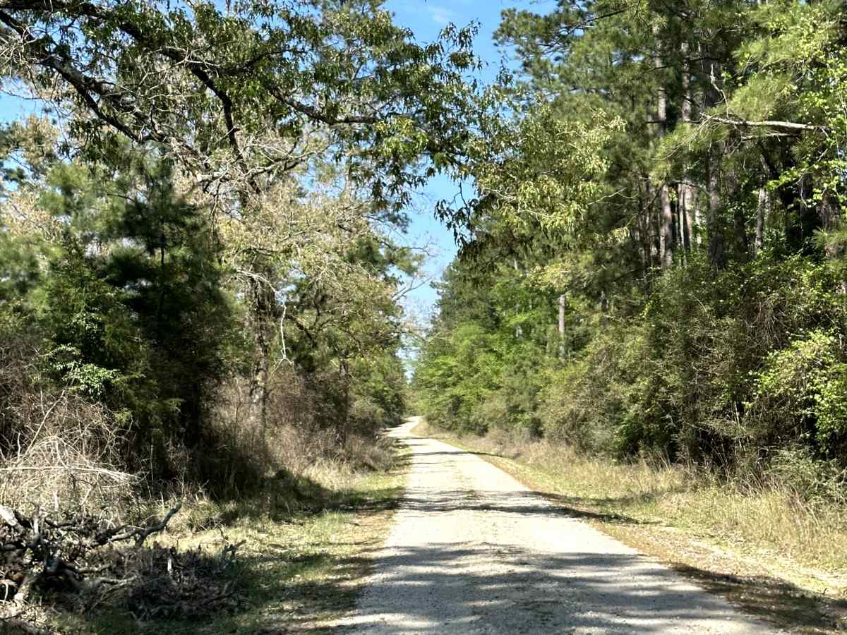 Elmer Smith Road photo 2