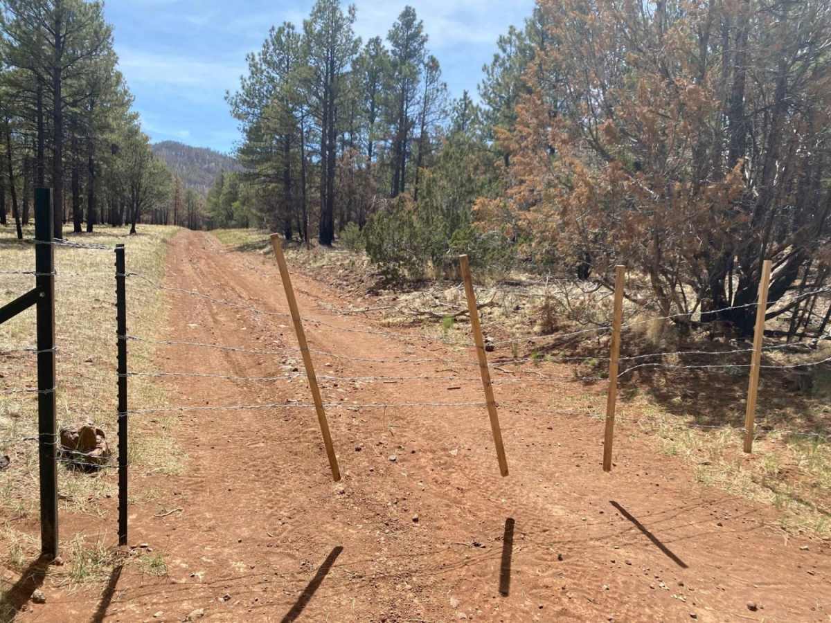 Slate Mountain Loop photo 2