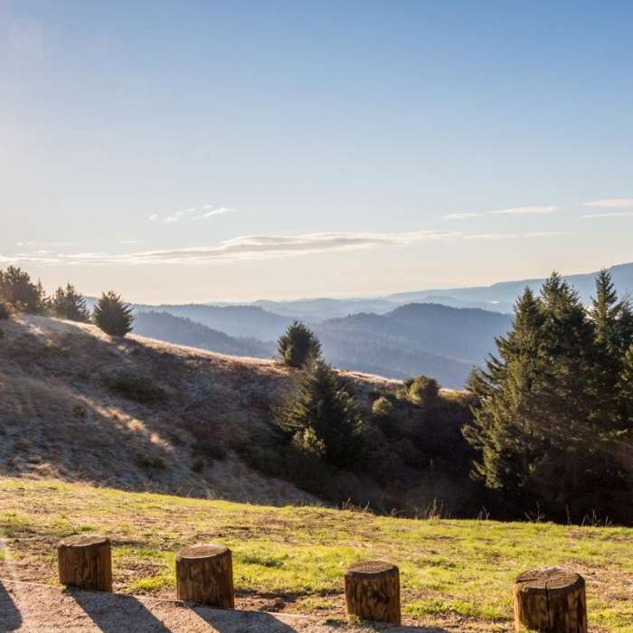 Near Skyline to the Sea Trail: Saratoga Gap to Big Basin Headquarters
