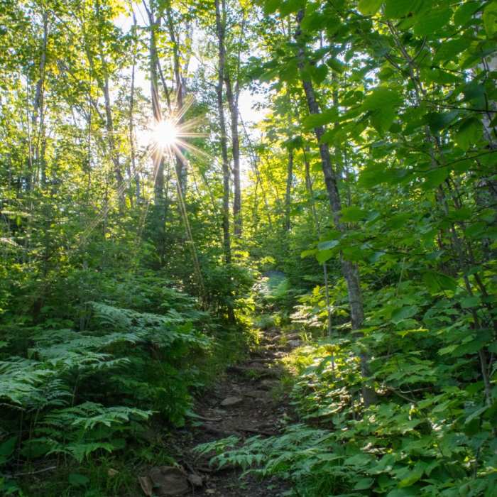 Near Superior Hiking Trail: Section 13 Near Superior Hiking Trail: Section 13