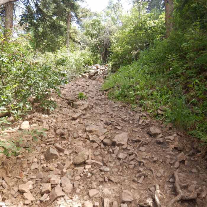 Near Bluebell-Baird Trail