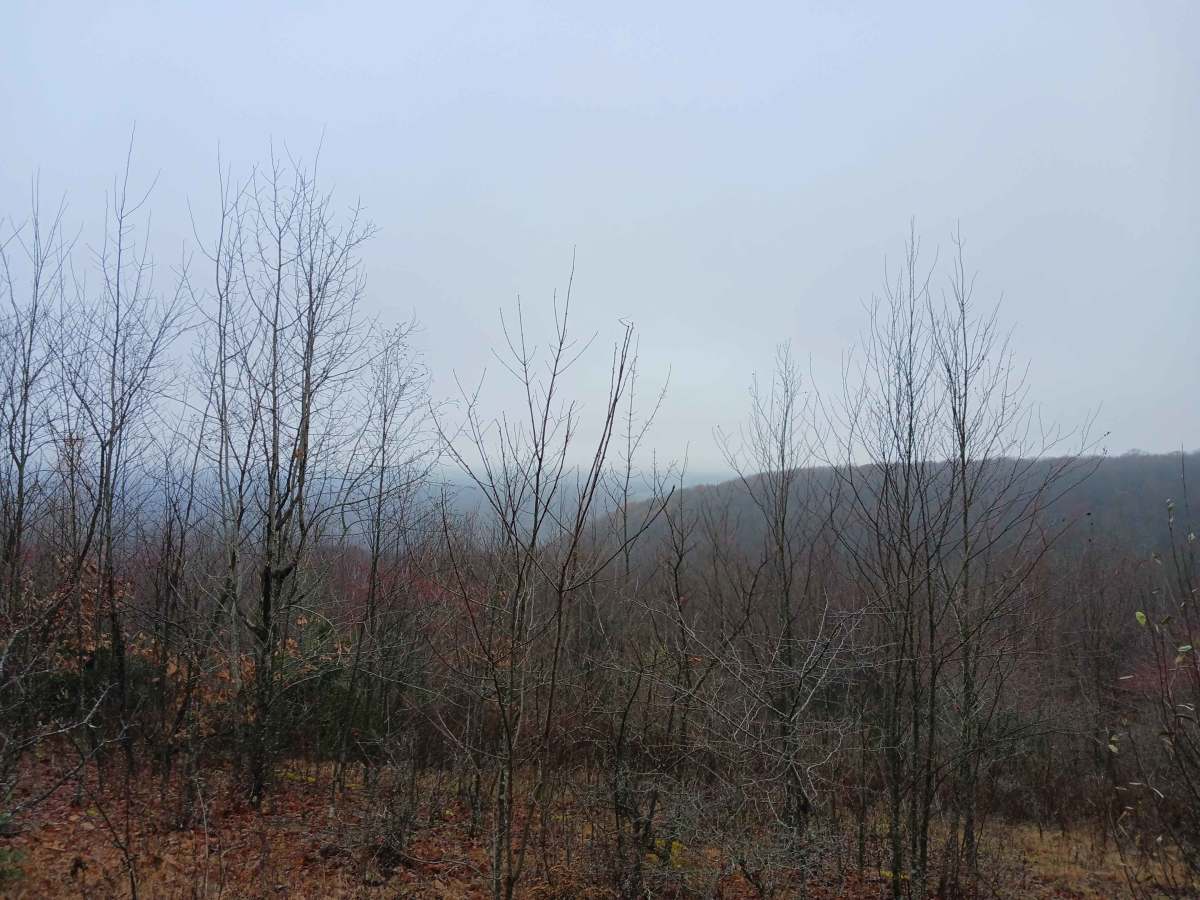 OHV 30 - Rock Run Recreation Area photo 6