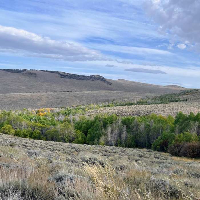Near Hart Campground to Guano Campground