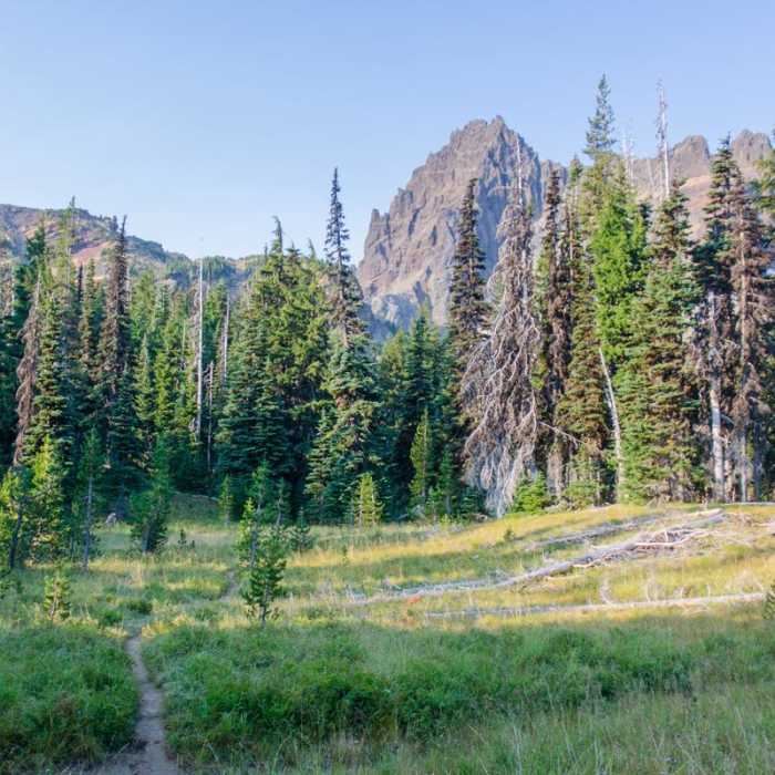 Near Canyon Creek Meadows Near Canyon Creek Meadows