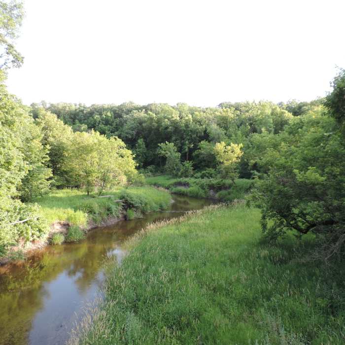 Near Fisher Loop