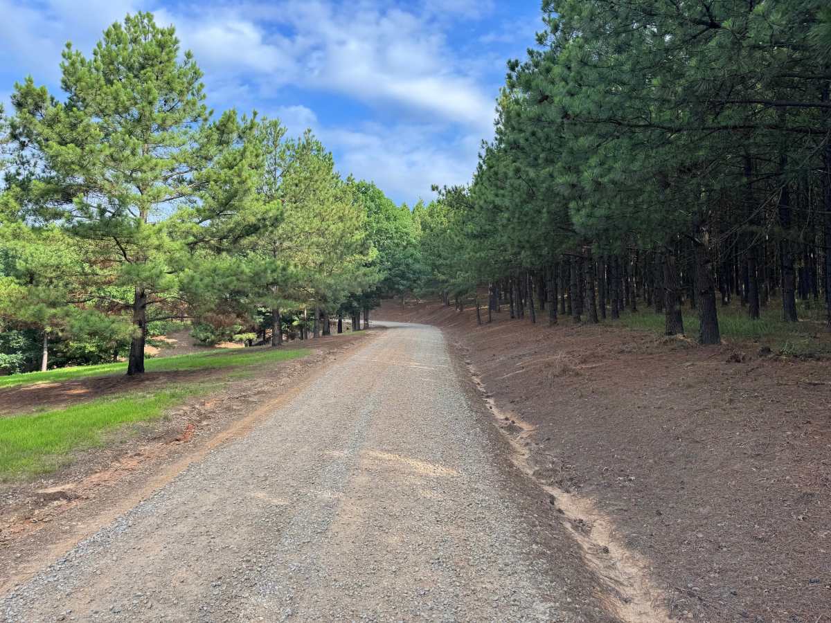 County Road 4491 photo 4