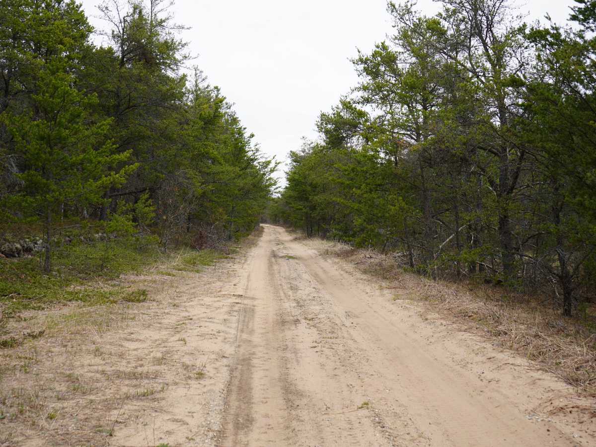 Watson Road photo 4