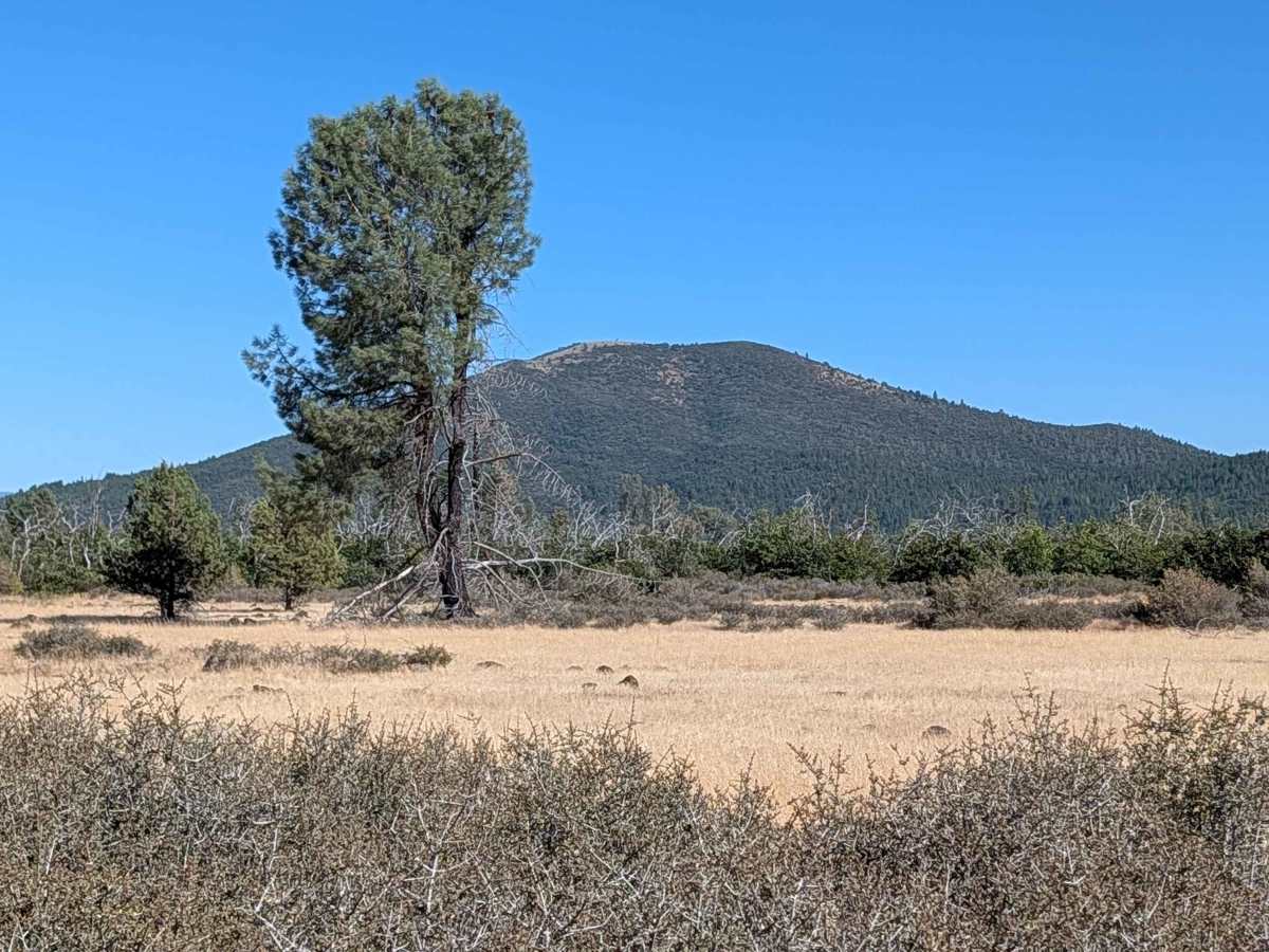 Pit Warner Grade - FS 37N01 photo 5
