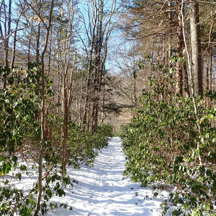 Near Ashokan High Point