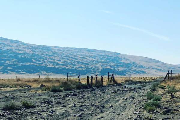 Dry Lakes Loop