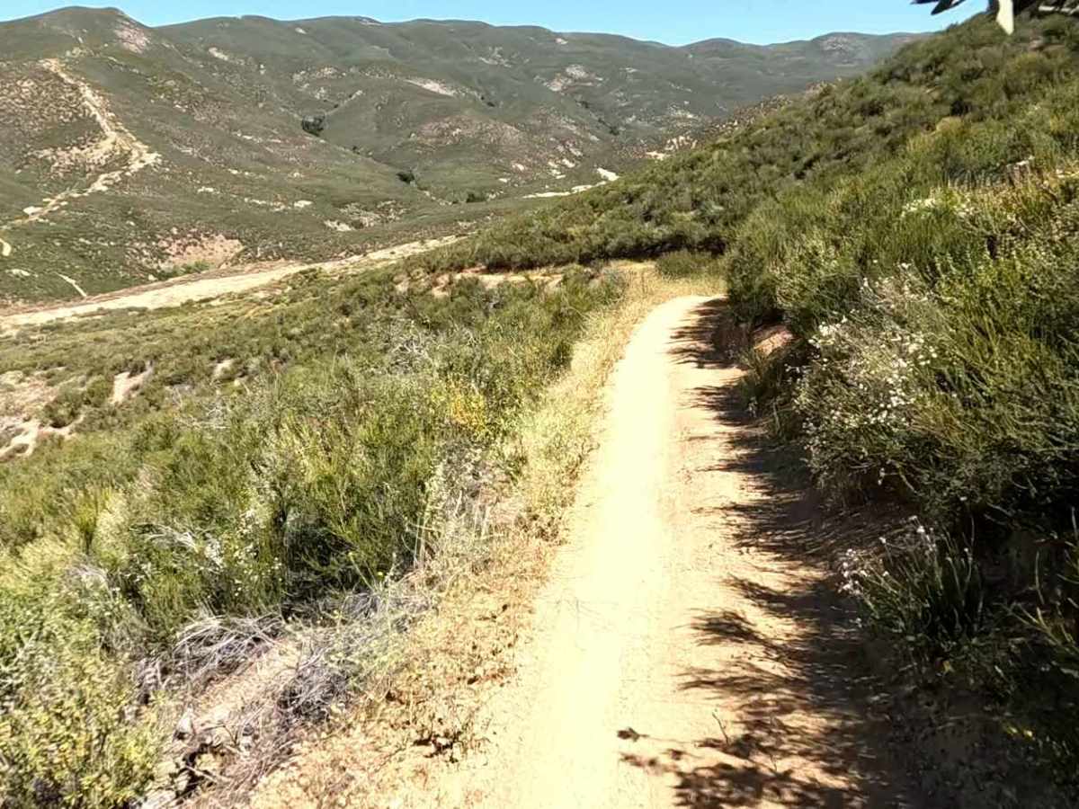 Stage OHV Trail photo 3