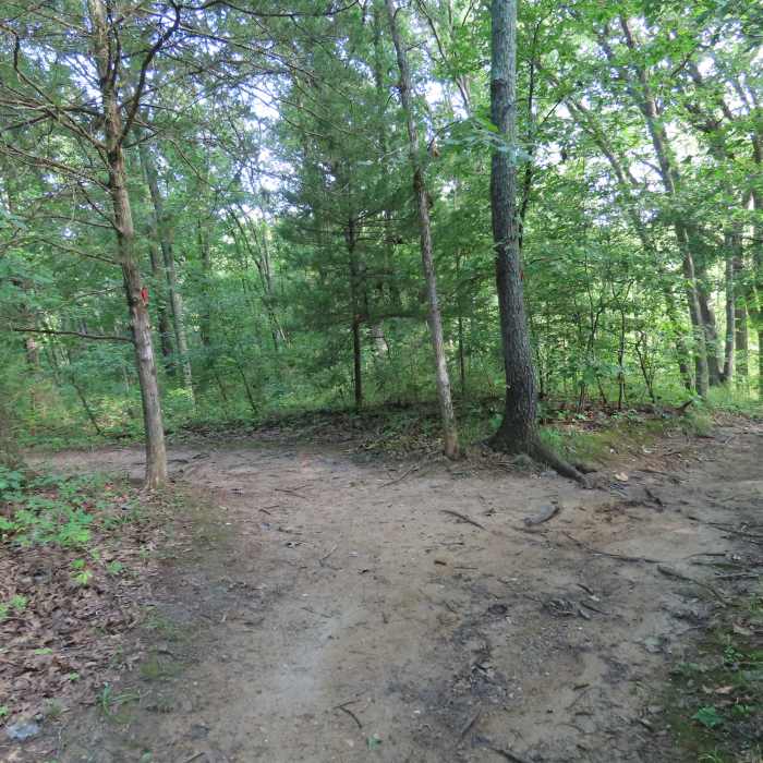 Junction of WC5 and Spring Brook Trails. Near Rock Bridge Route
