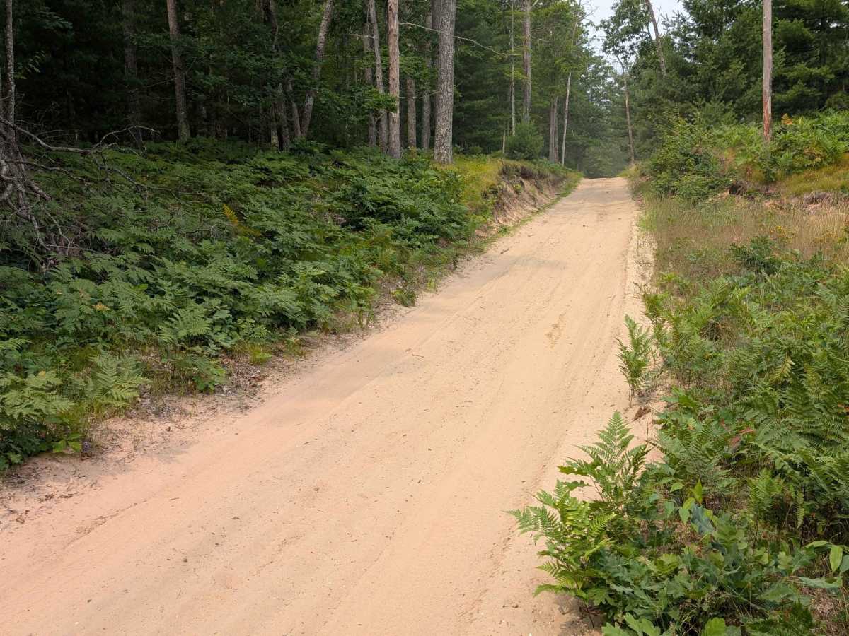 Hanson Hills - FS 15829 trail photo