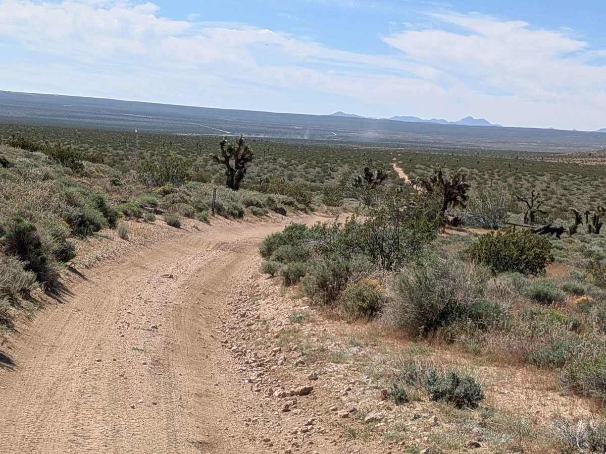 BLM SC82 photo 6