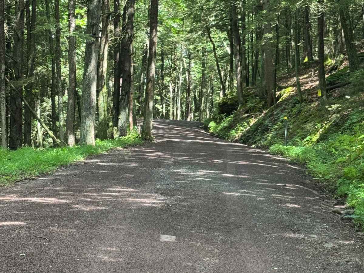 Roaring Run Road photo 5