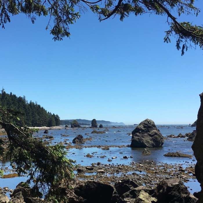 Near Ozette Triangle