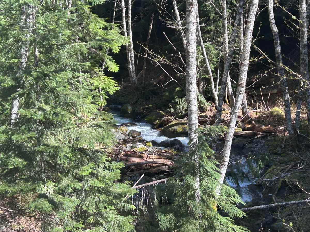 Lava Creek Road photo 3