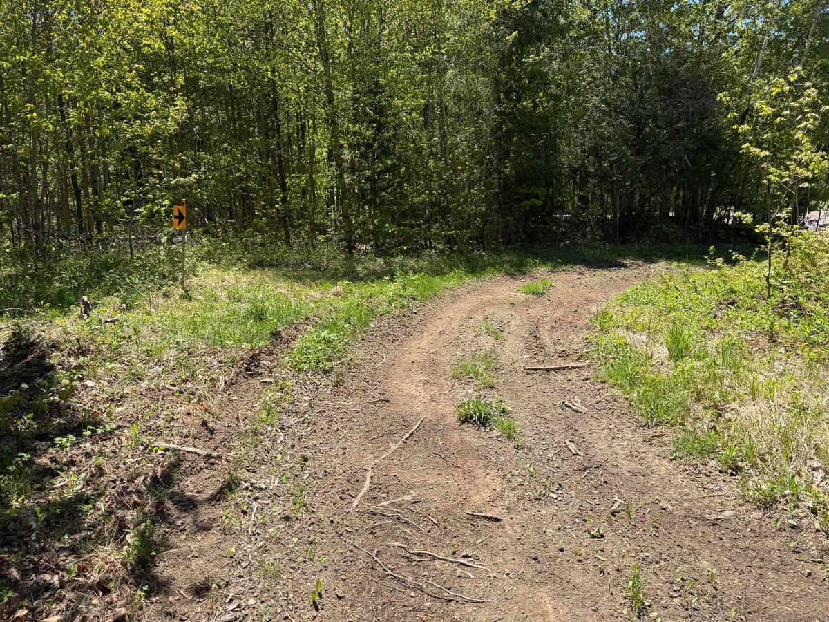 Bauer Wooded Spur Trail photo 6
