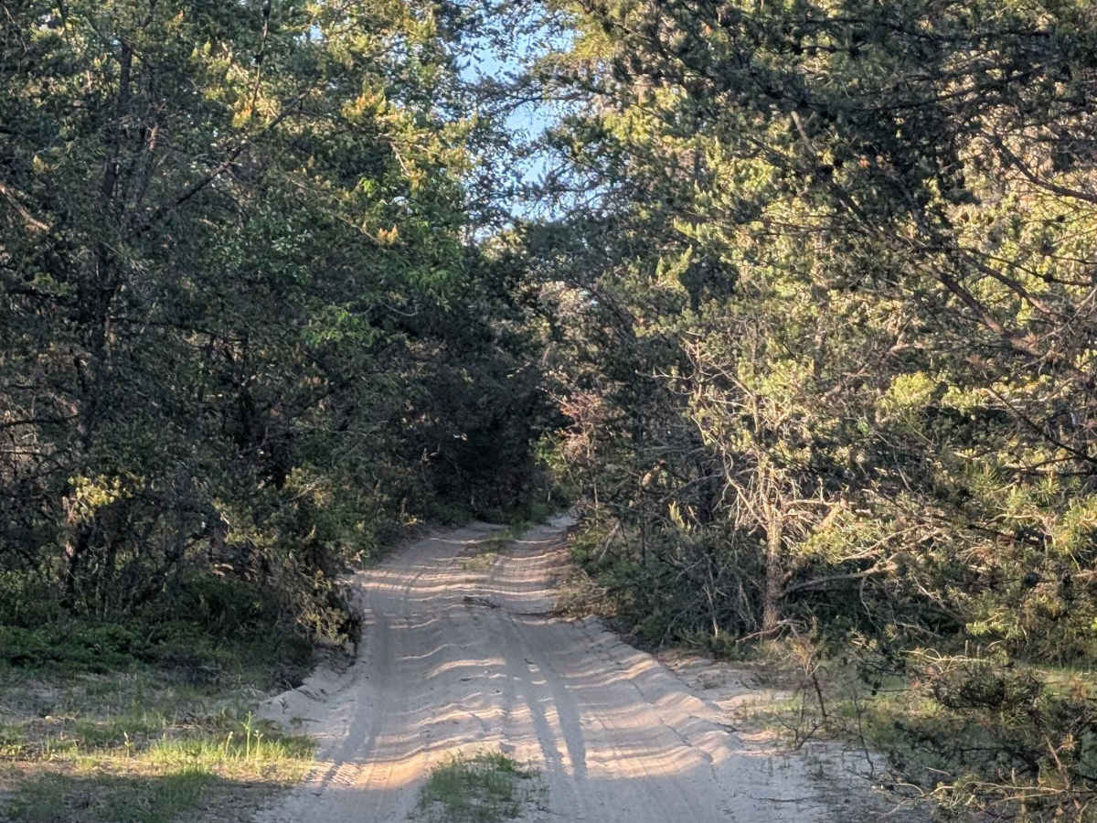 Eight Point Rd trail photo