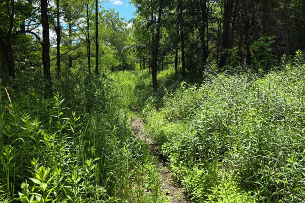 Single Track JJ