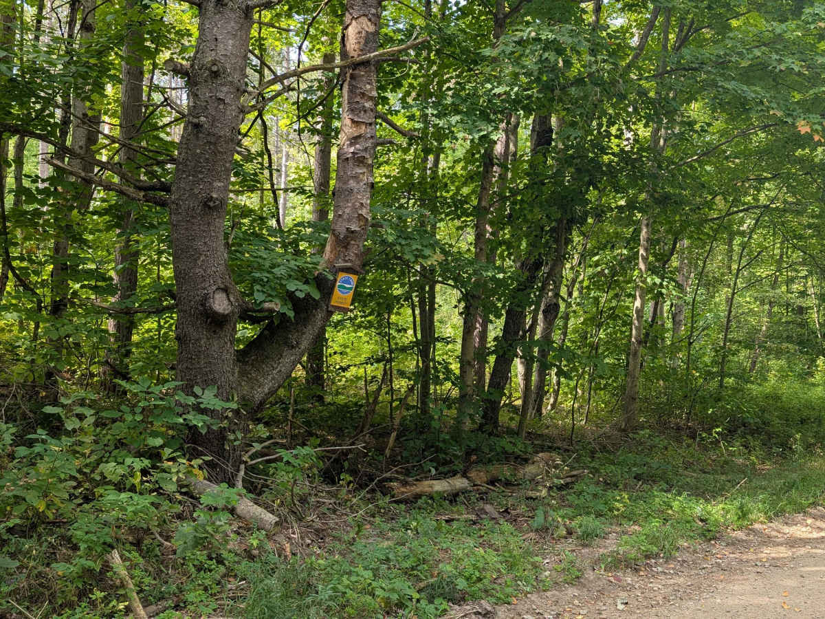 St. Lawrence County Pilot Trail photo 3