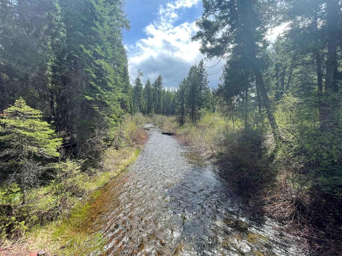 West Fork Clearwater River photo 2