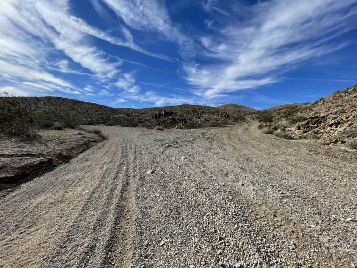 Oh Look, Joshua Trees photo 2