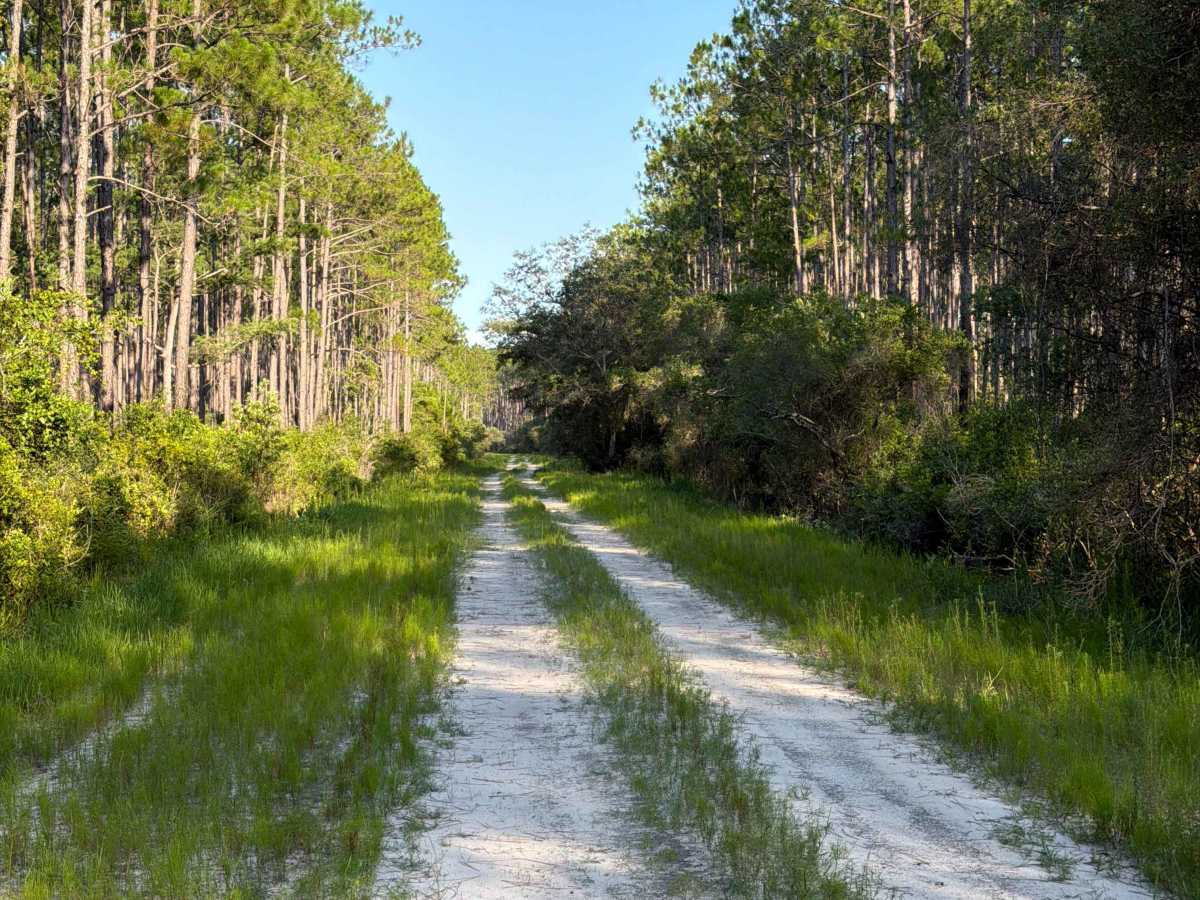 Airport Road trail photo