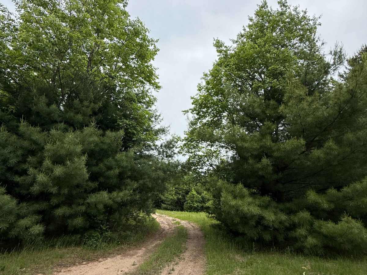 South 72 Trail photo 3