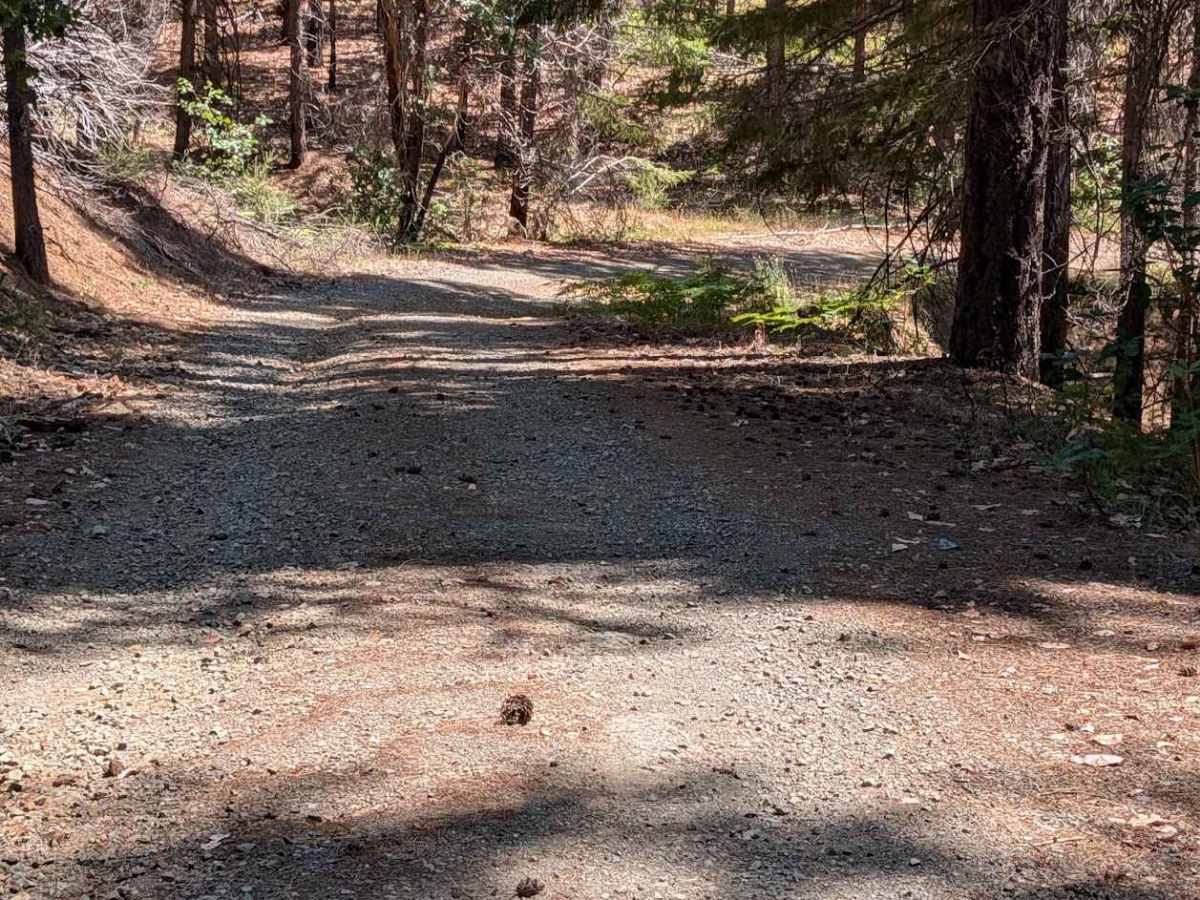 Hayshed Creek Road - FS 4N05 photo 6