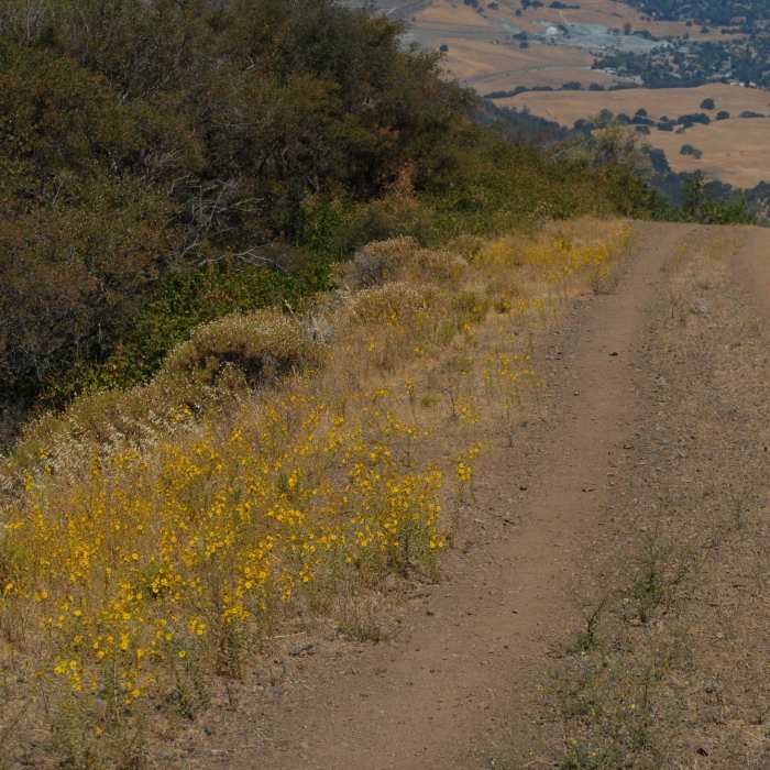 Near North Peak Road