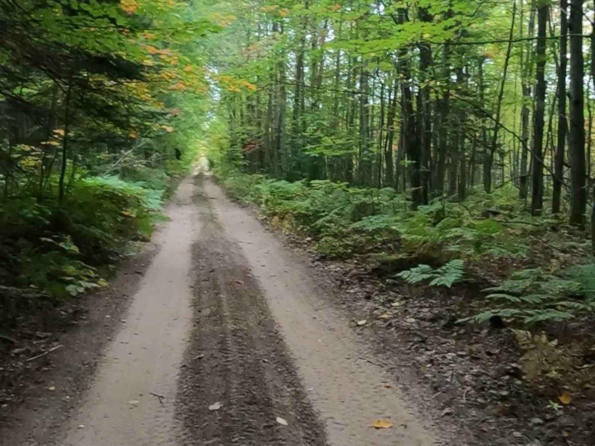 Strickler Truck Road photo 2