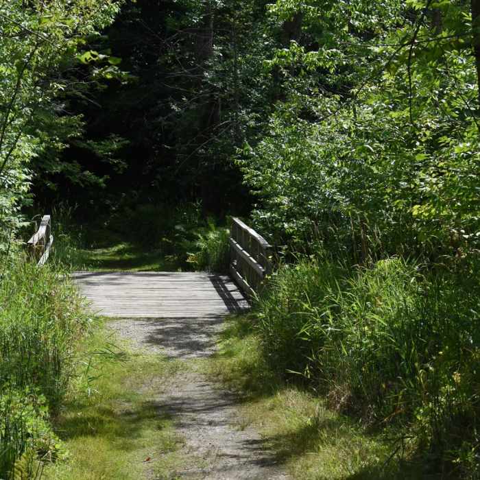 Near Hiking Club Route Near Hiking Club Route