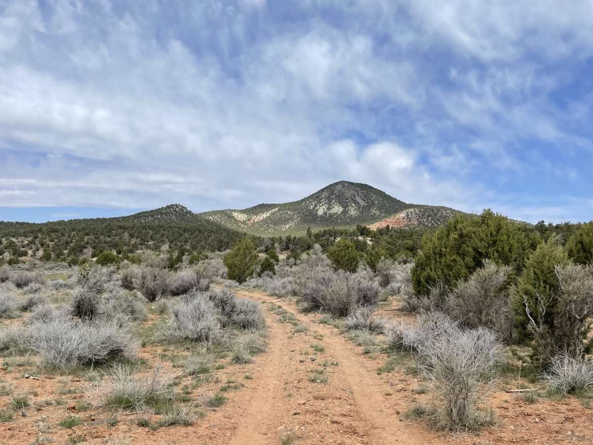 Mustang Knoll trail photo