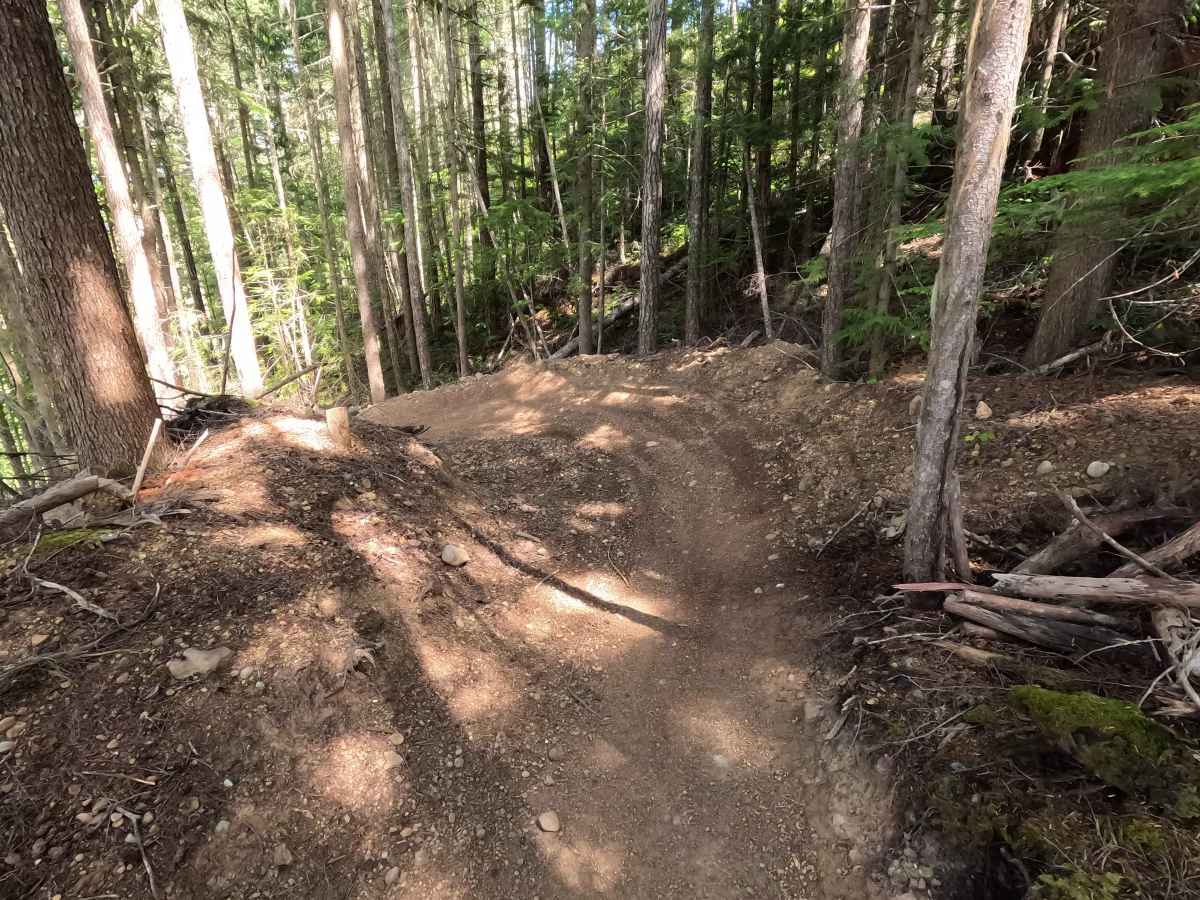 West Phantom Bear photo 4