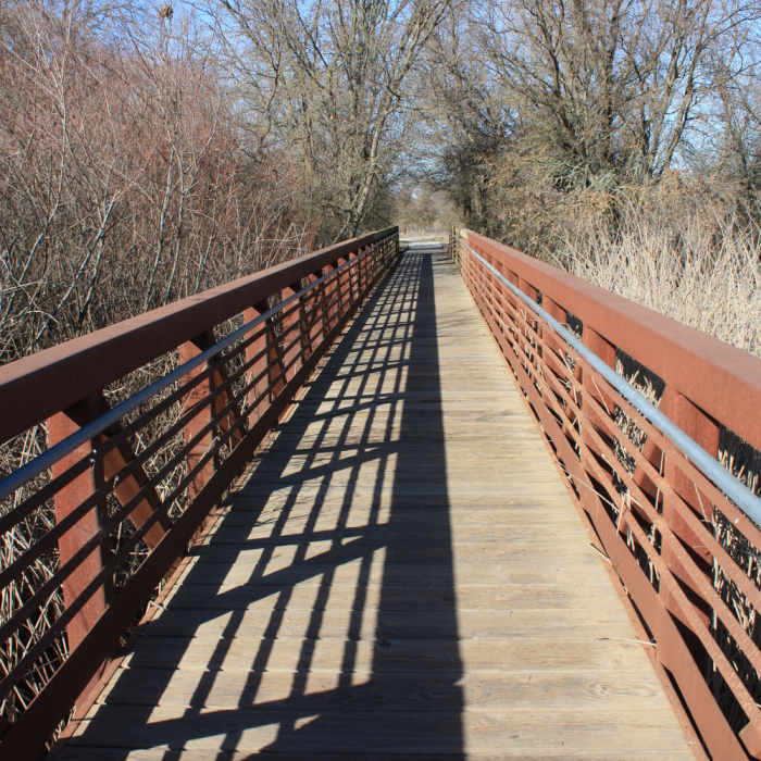 Near Cosumnes Nature Loop