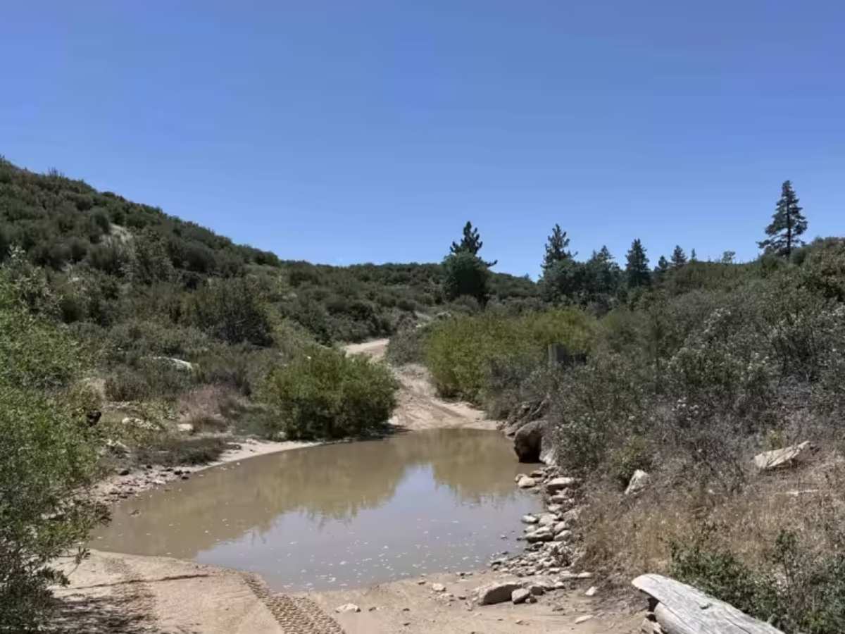 Crab Flats trail photo