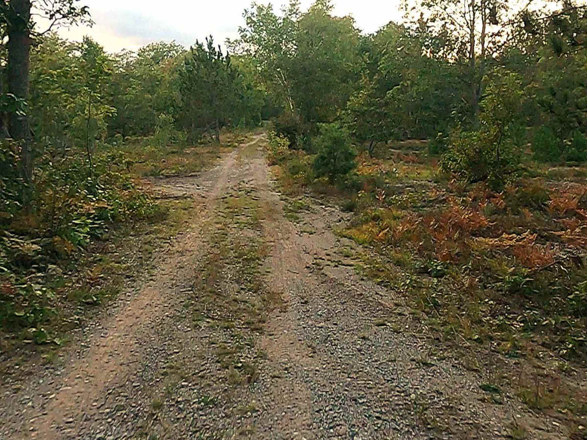 Airfield Road South - FS 3020 photo 6