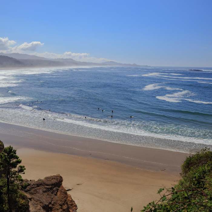 Near Oregon Coast Trail Section 5