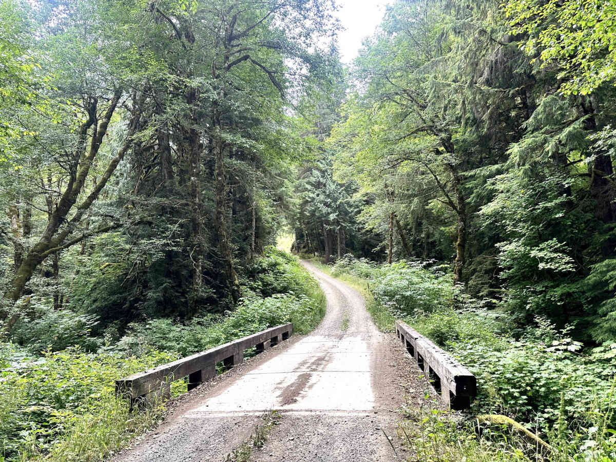 Shields Road trail photo