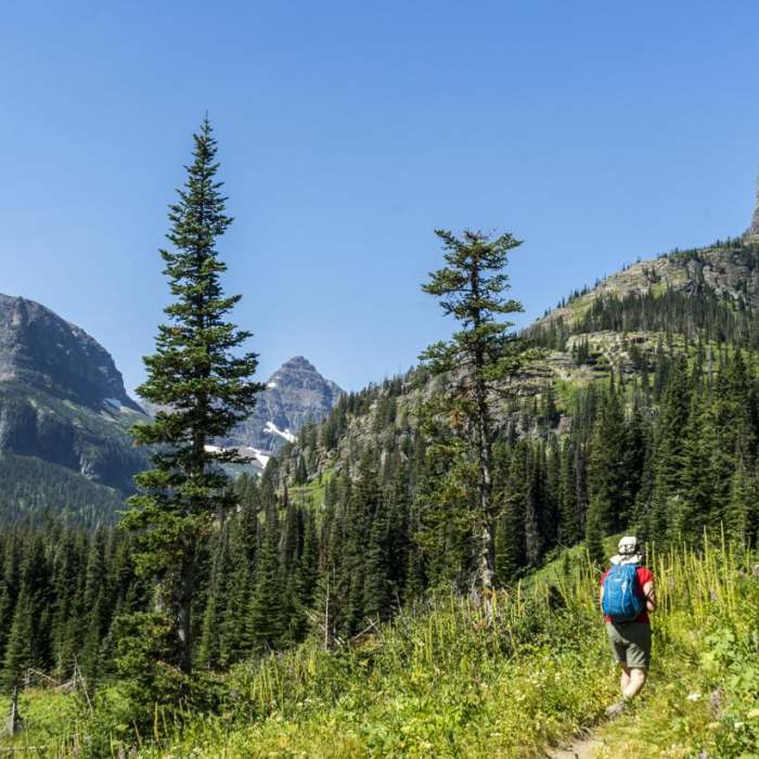 Near No Name Lake Hike