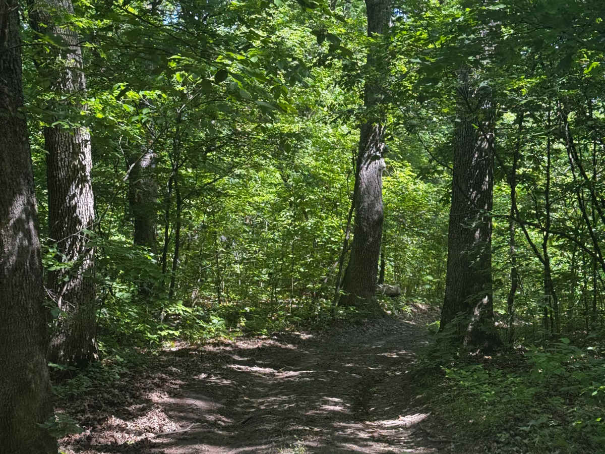 Inner Track 31 trail photo